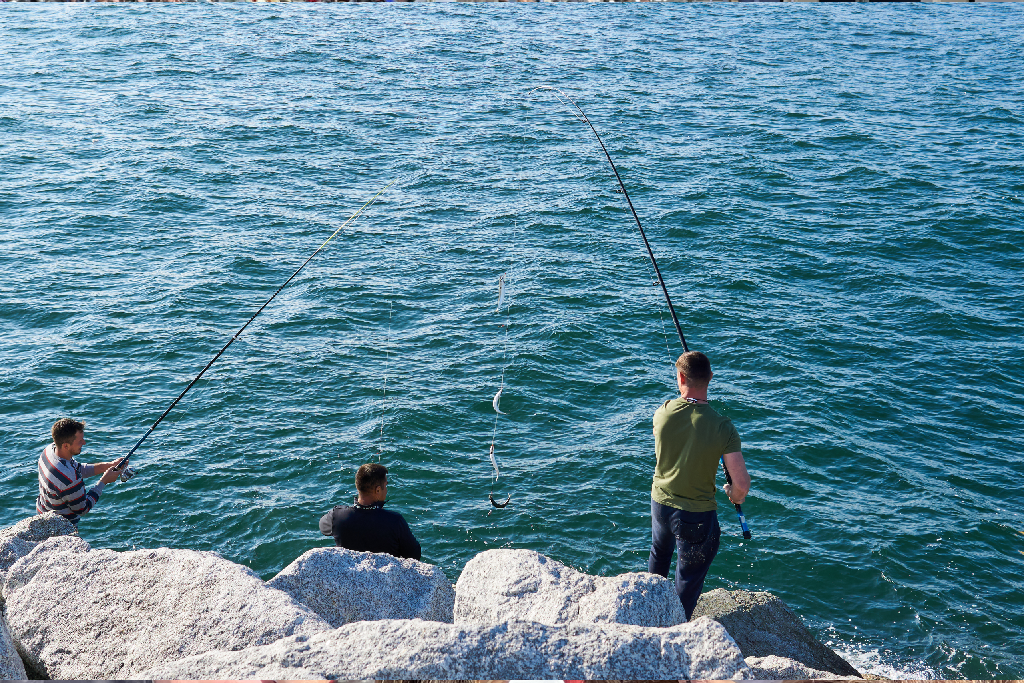 Fishing in Brixham