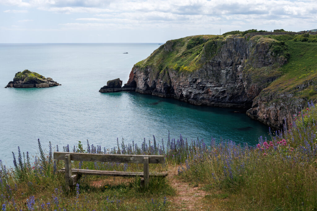 Berry Head