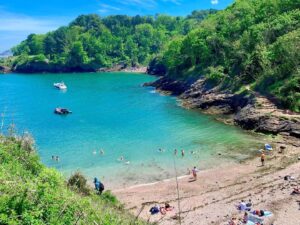 Dog-friendly beaches in Brixham